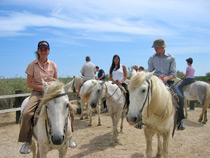 Reiten in der Camargue